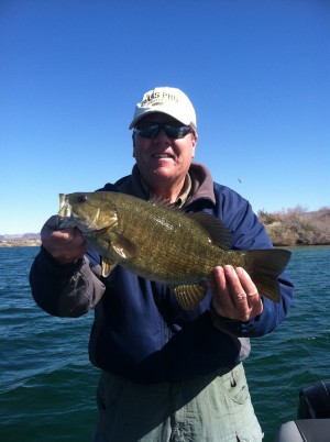 Lake Havasu Smallmouth Bass! First I've ever seen. Caught on a 12-15" deep diving shad colored crank bait. Literally caught him the first hour into our trip. We thought we would be in for a heyday, but wound up being the only fish we caught that day. Trophy class though! 3.5lbs 17"