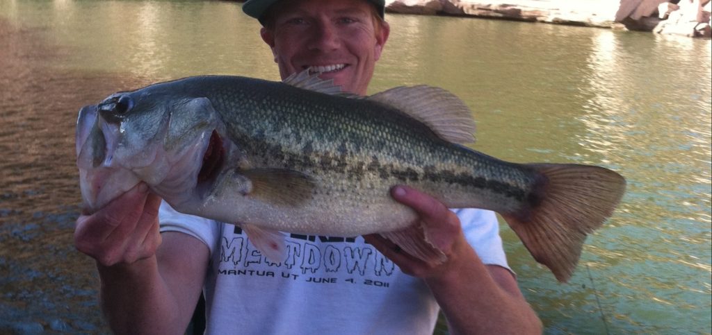 lake powell largemouth bass