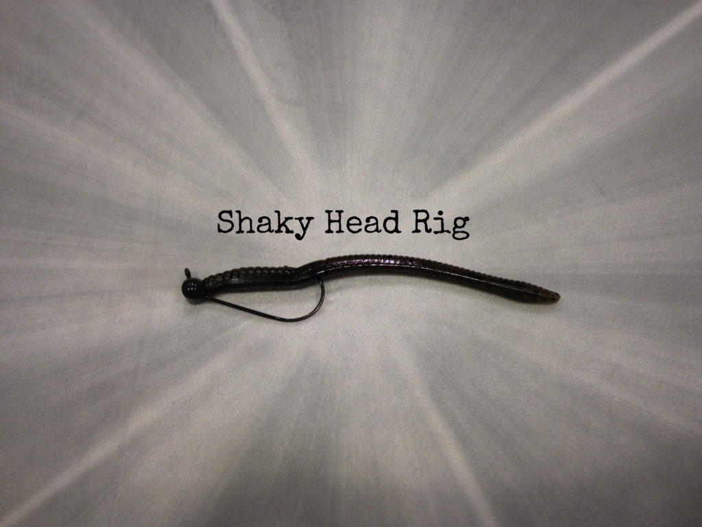 shaky head rig