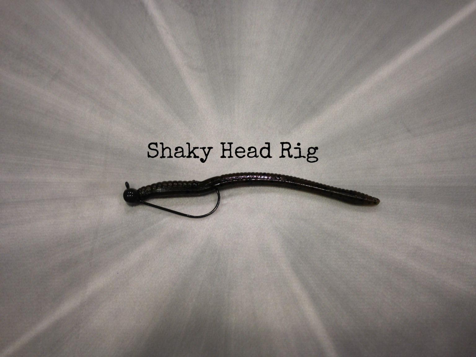 Shaky Head Rig Kraken Bass