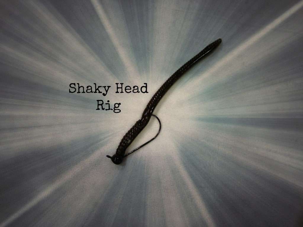 shaky head rig