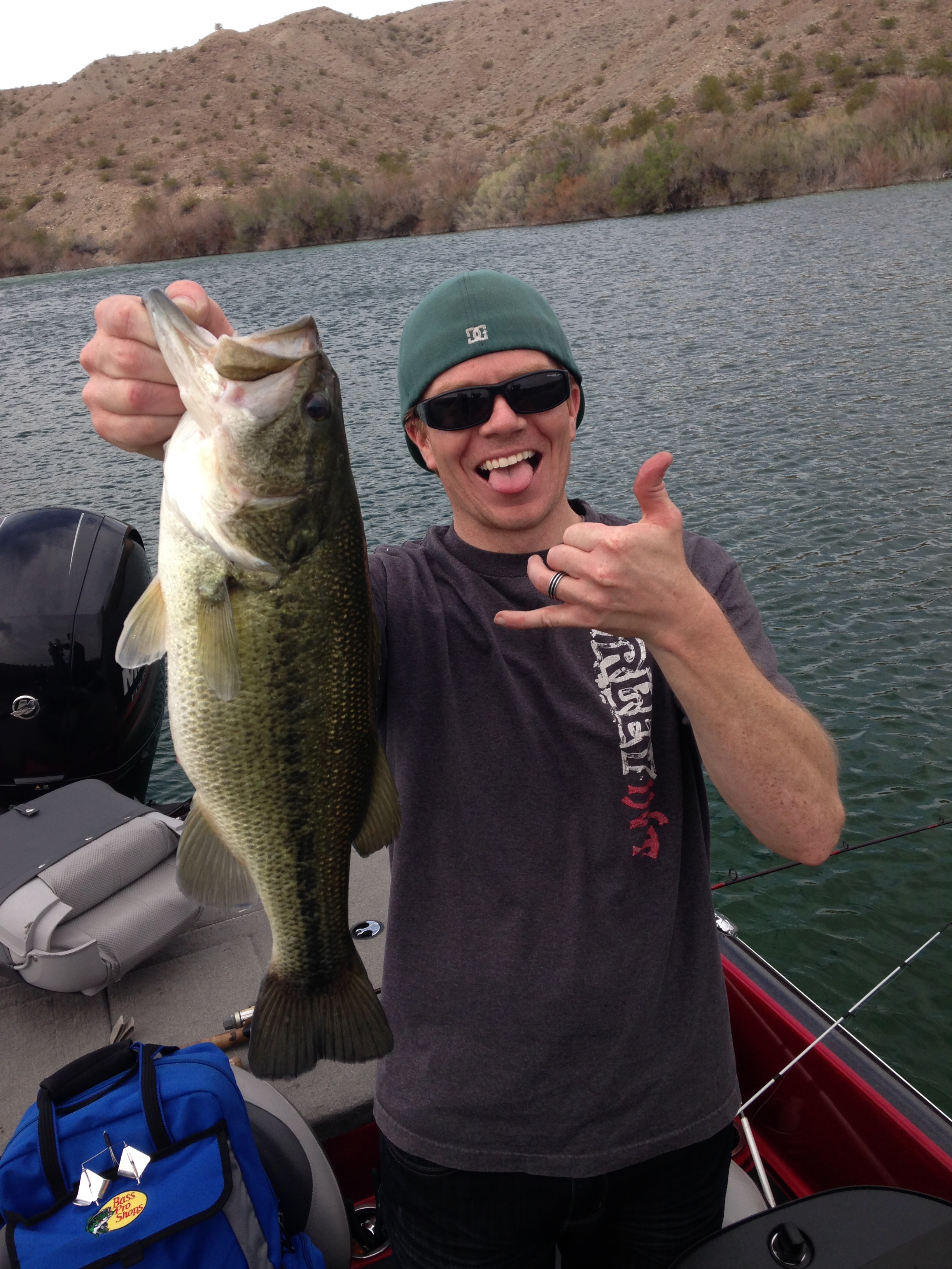 arizona bass tournament schedule on Lake Mohave Bass Fishing Beast Mode