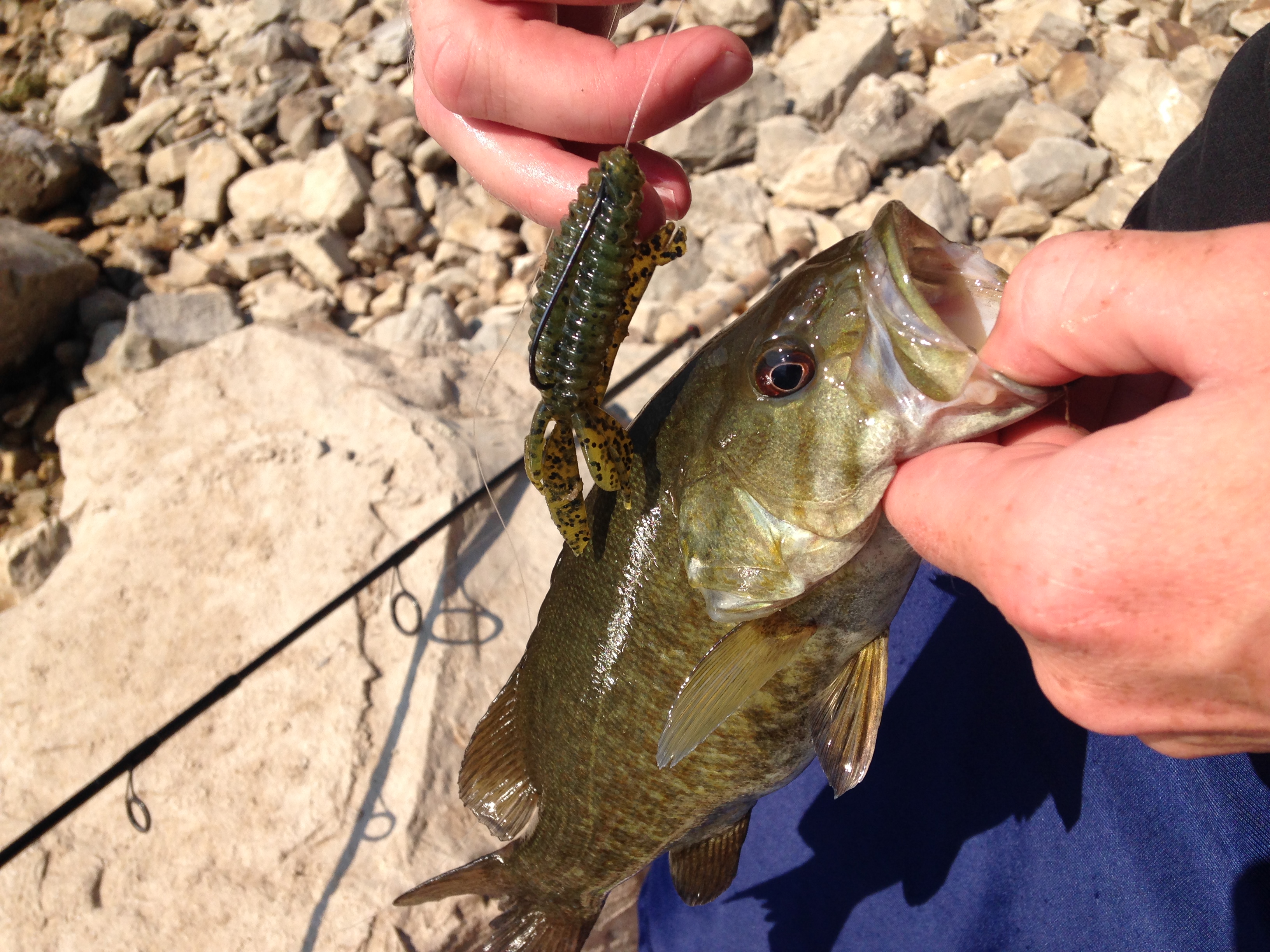bass fishing money saving tips for baits