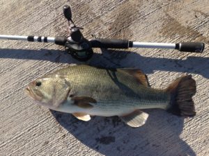 cj strike bass fishing