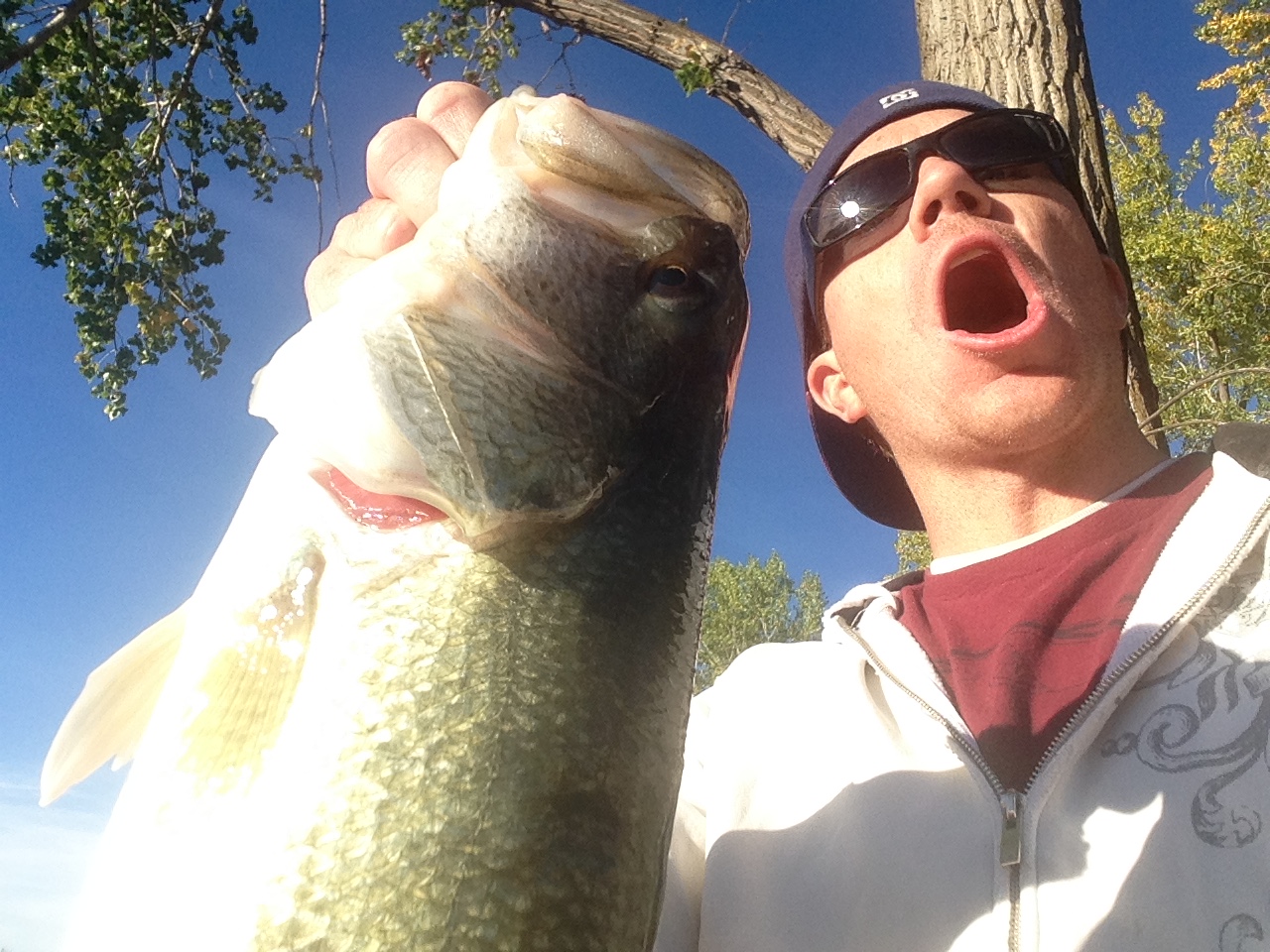 lake lowell largemouth bass