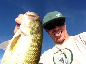 sand hollow fishing report