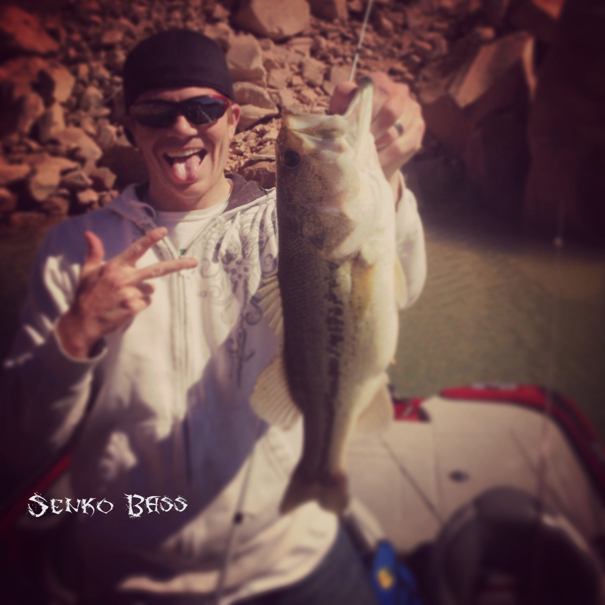 5 Best Lake Powell Bass Lures Kraken Bass