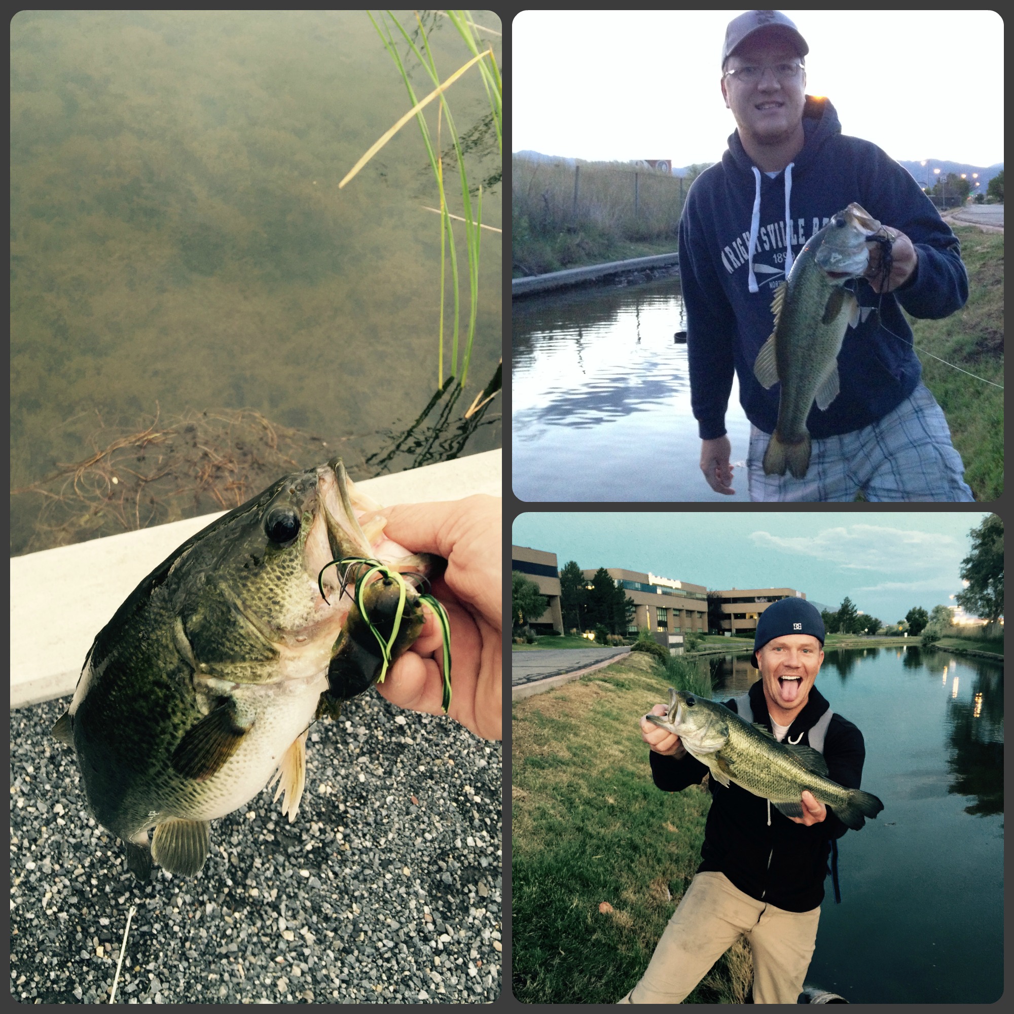 pond bass fishing