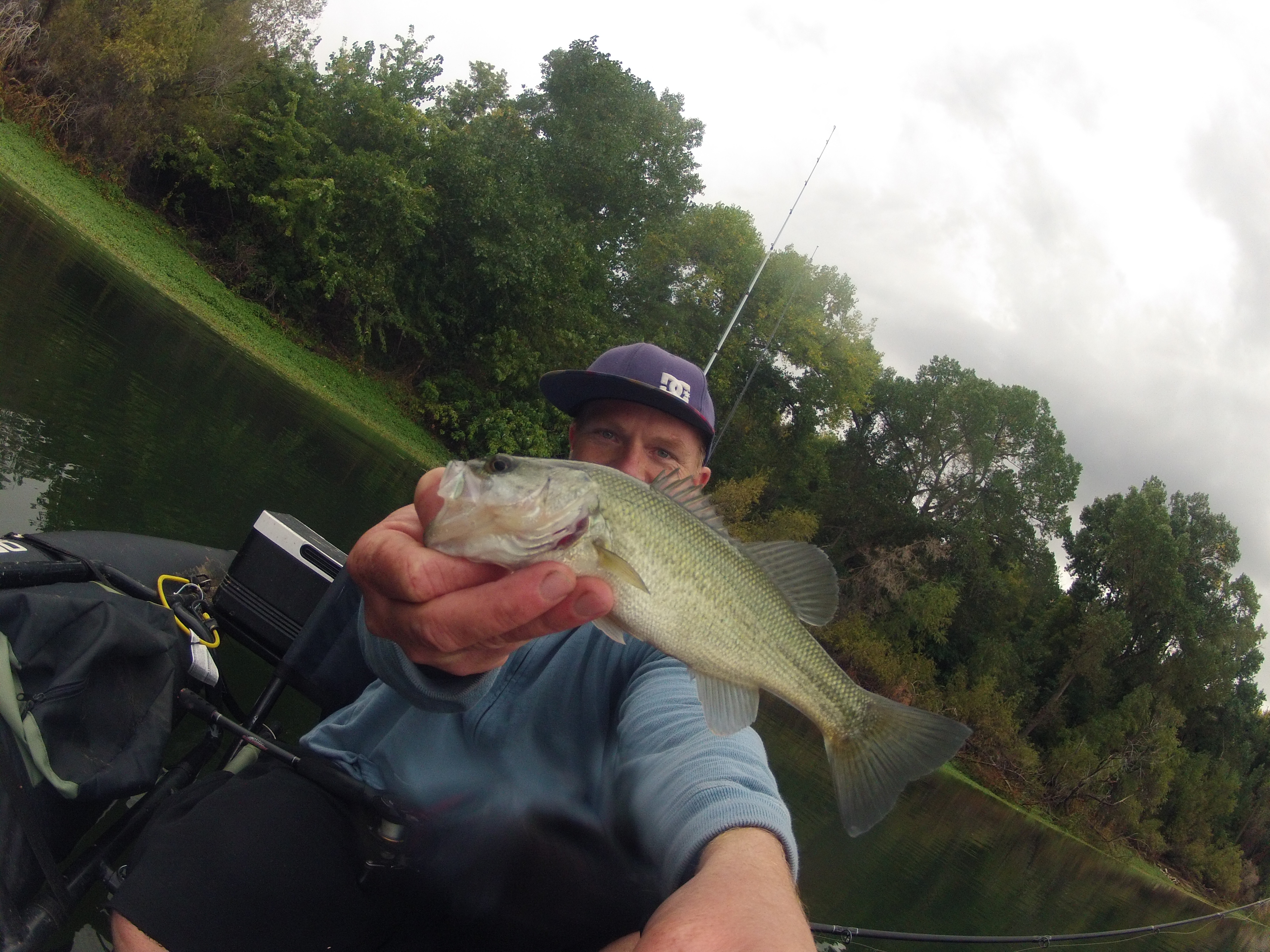 bass holmes creek reservoir fishing
