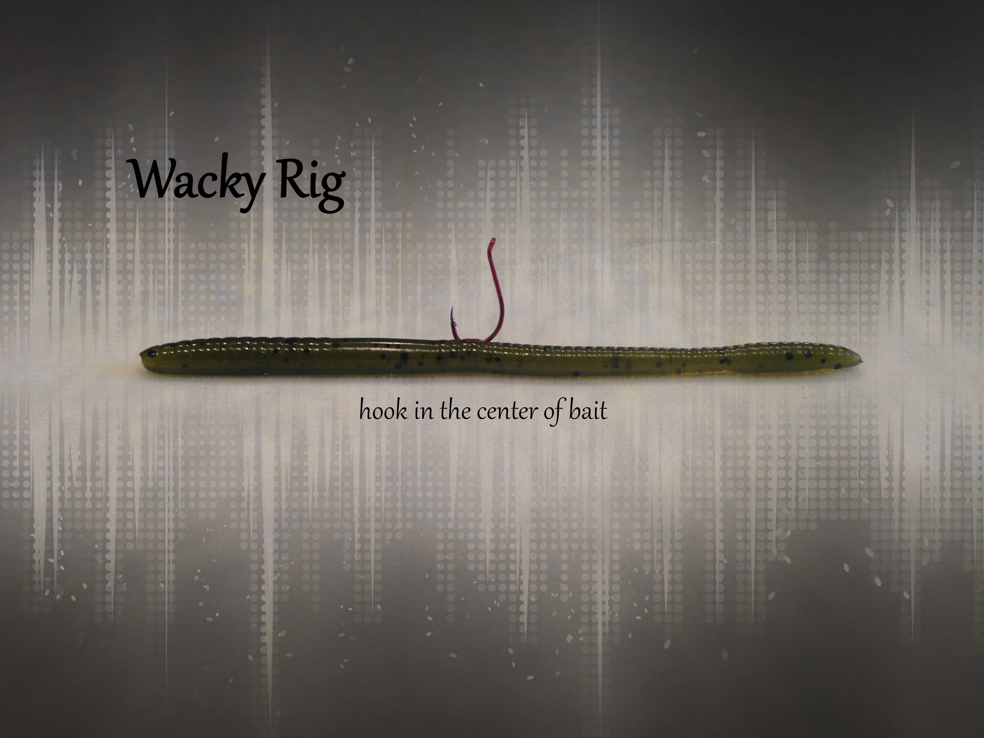 wacky rig diagram
