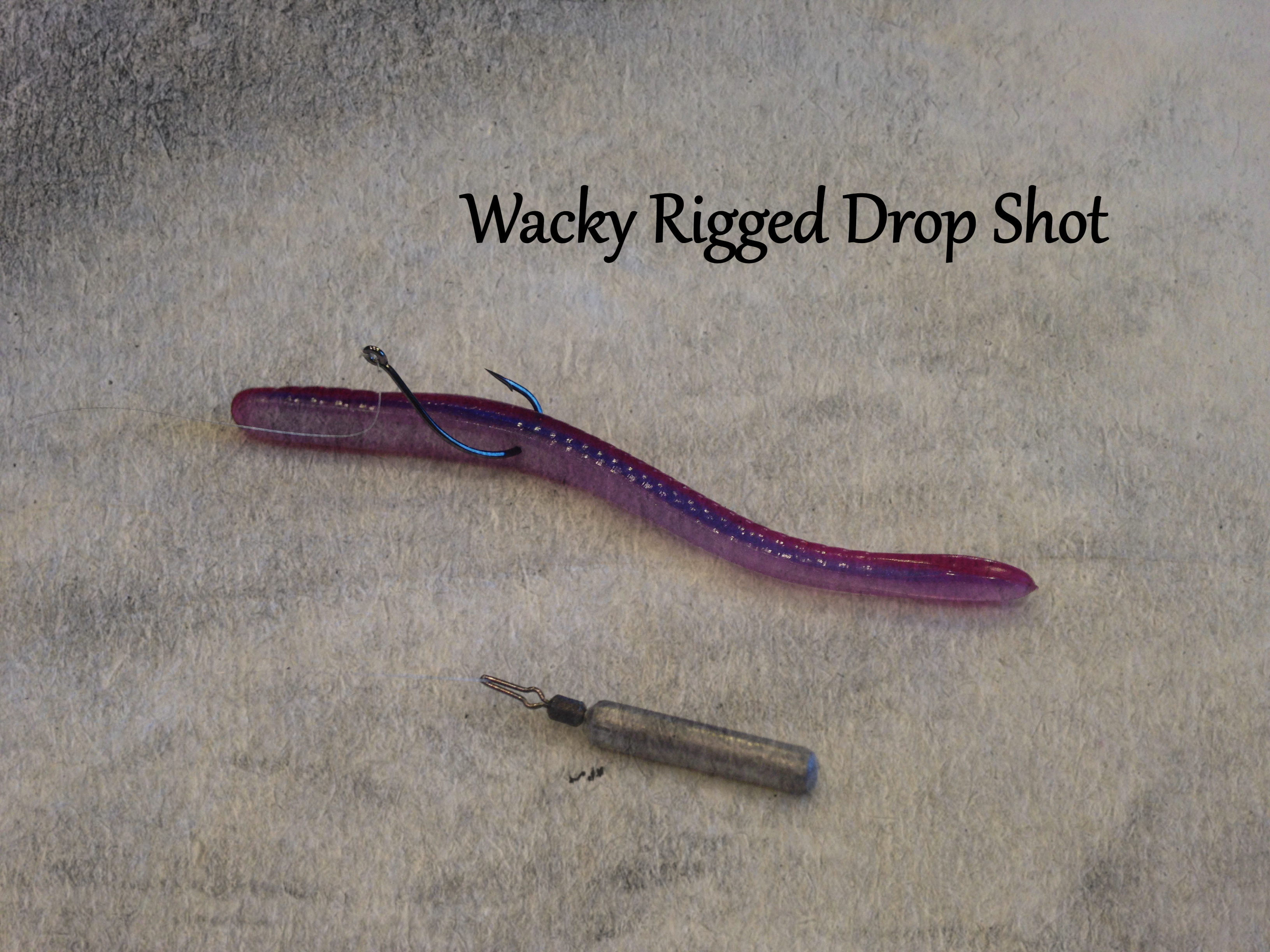 wacky rigged drop shot