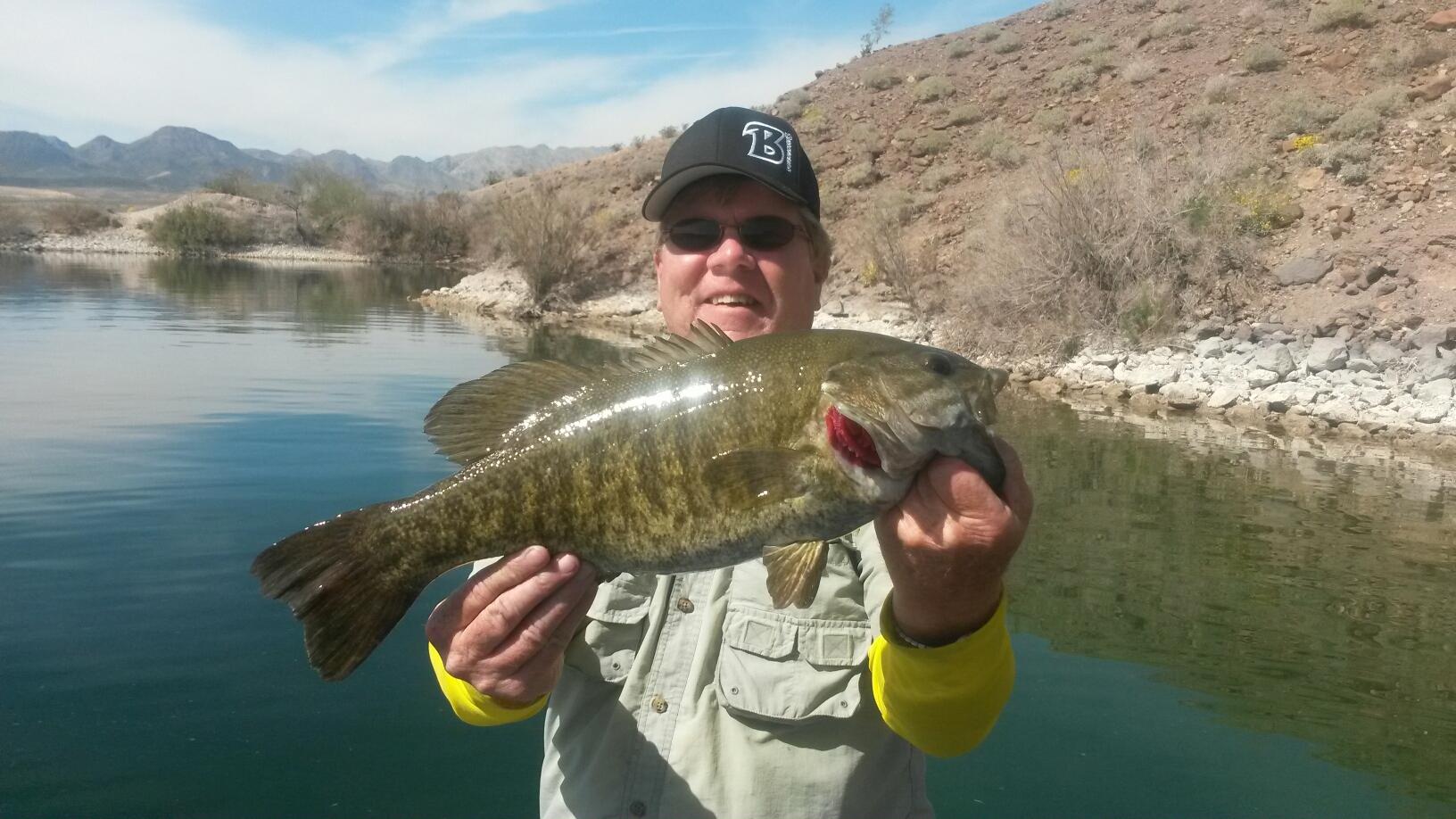 fishing lake mohave bass