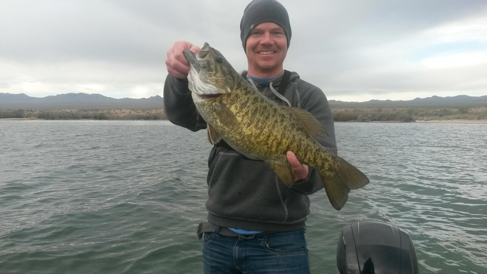 fishing lake mohave big smallmouth bass