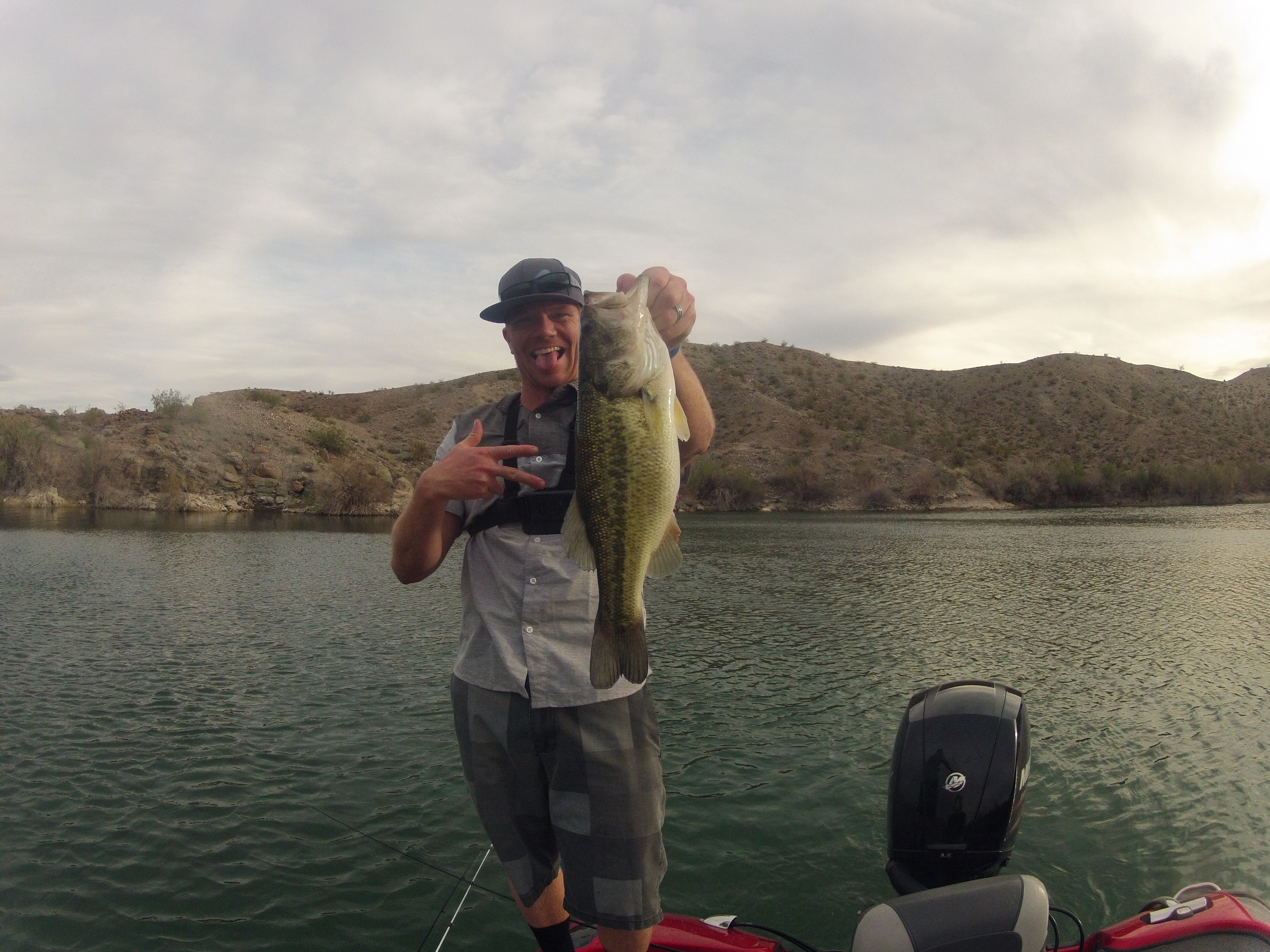 fishing lake mohave largemouth bass