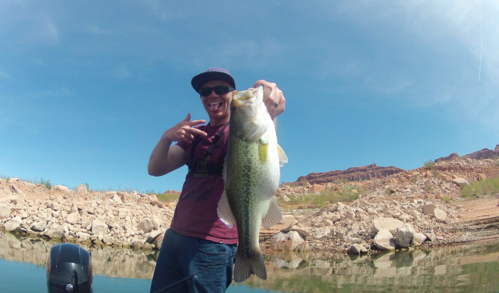 Water Temperature Affects on Bass Fishing - Part 2: Identifying what to use  fishing - Kraken Bass