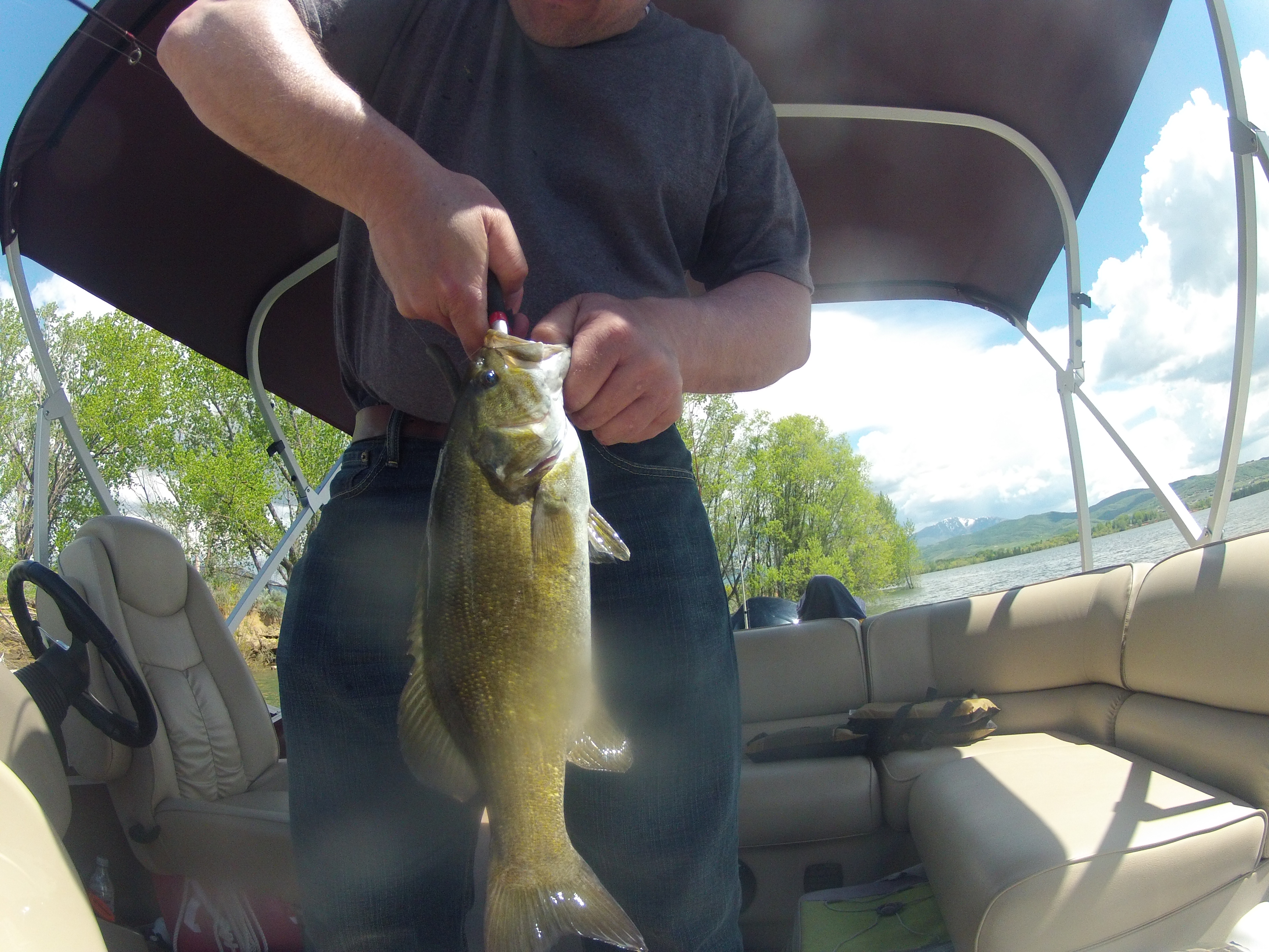 fishing pineview reservoir smallmouth