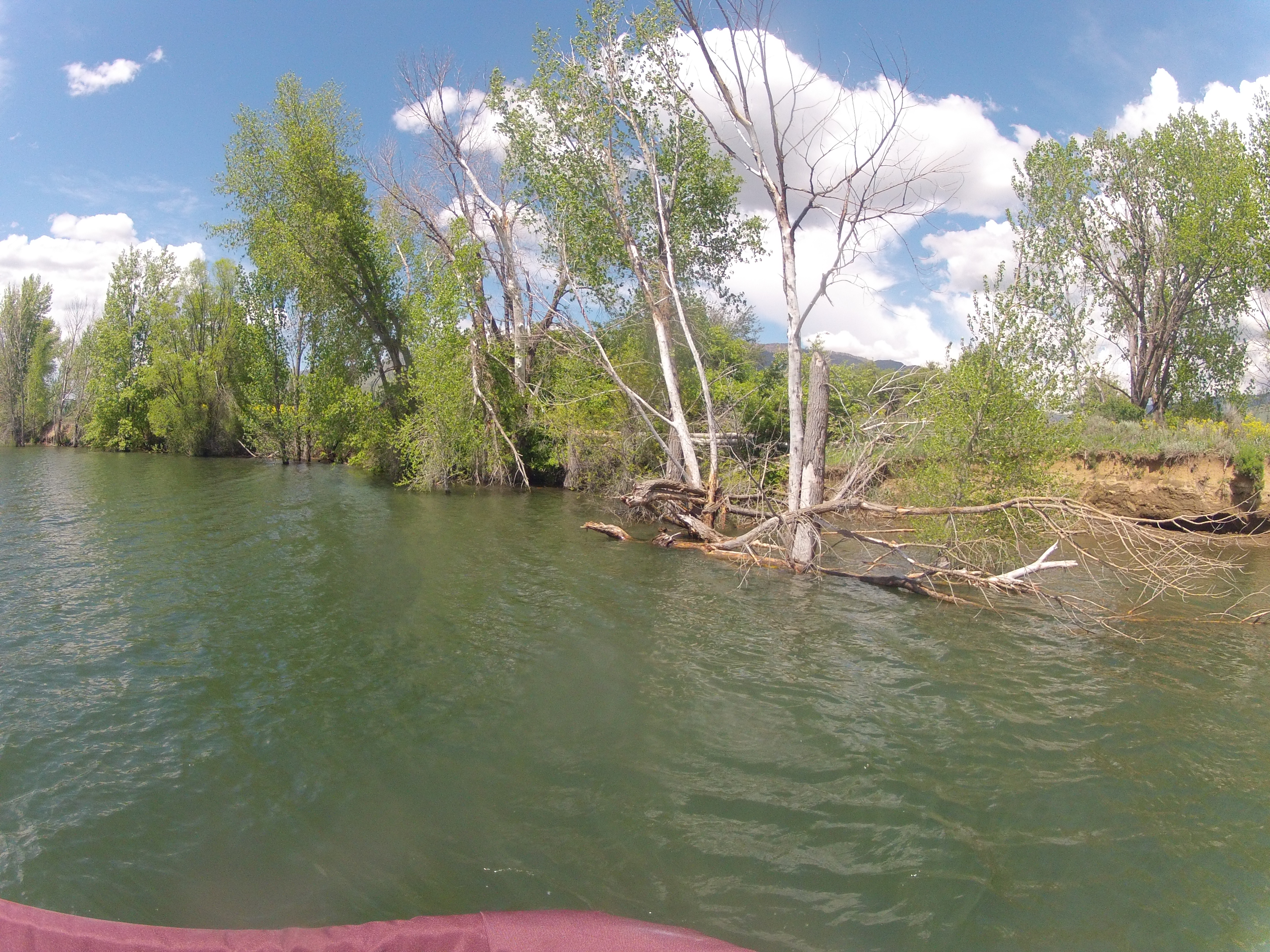 Fishing Pineview Reservoir Spots