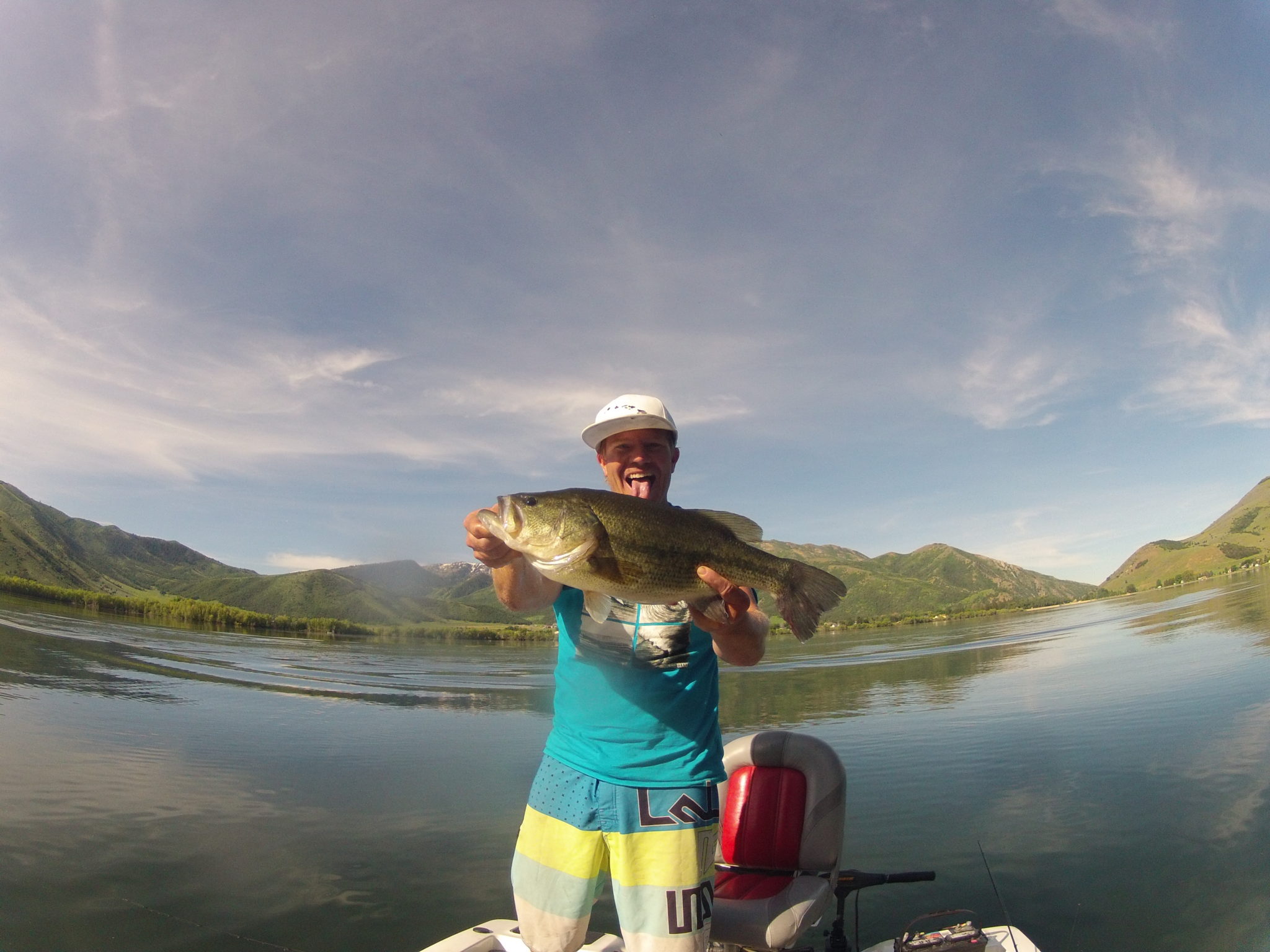 Bait Selection Chart Kraken Bass