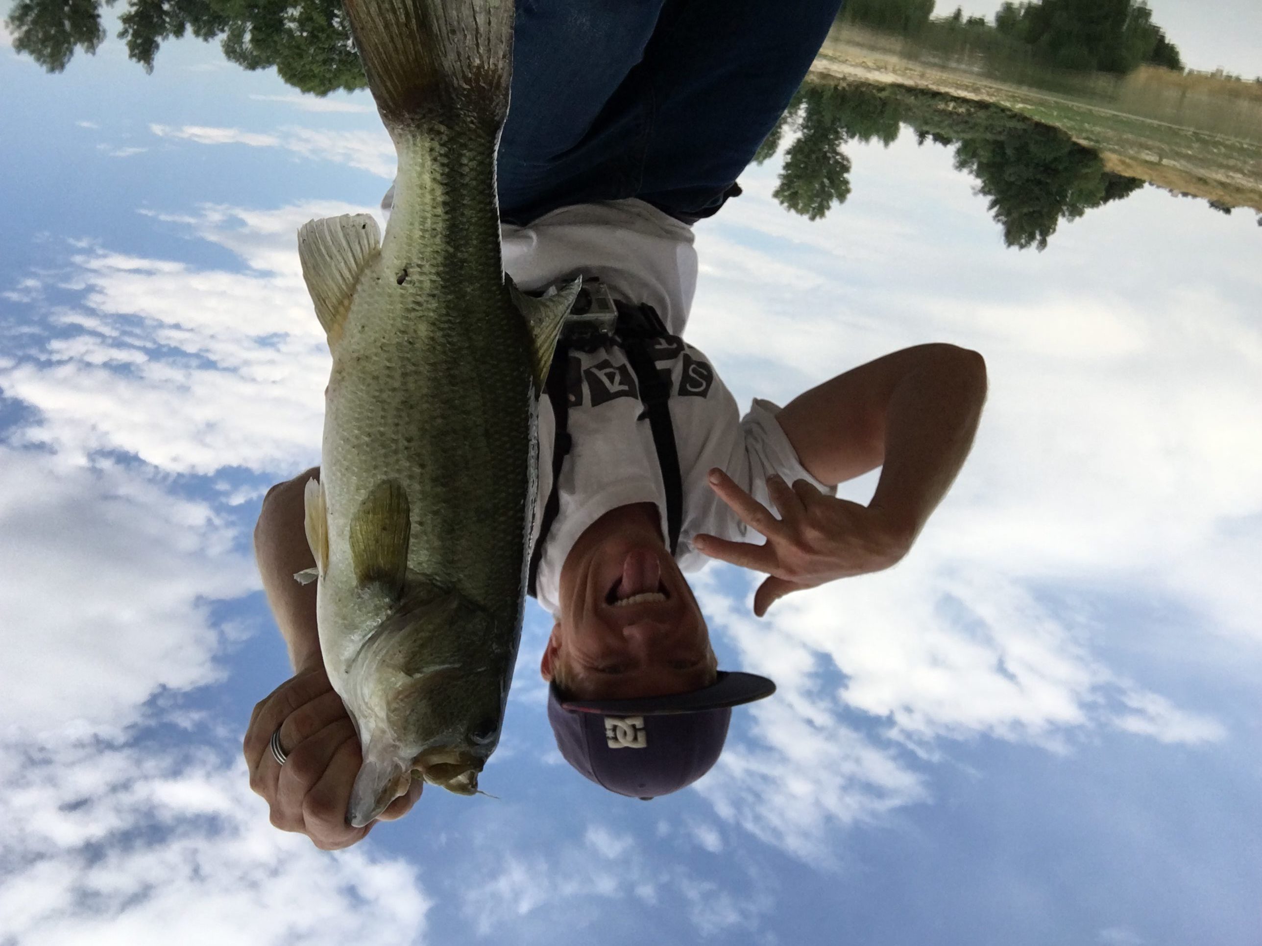 bass fishing topwater lures conditions