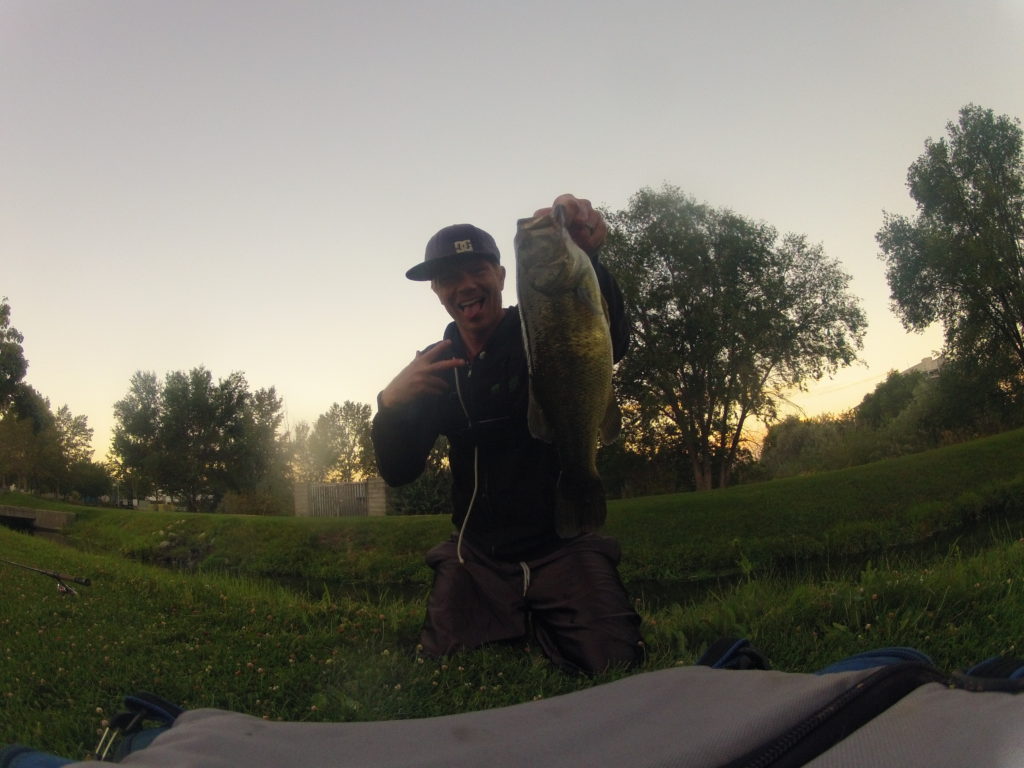 provo fishing bass