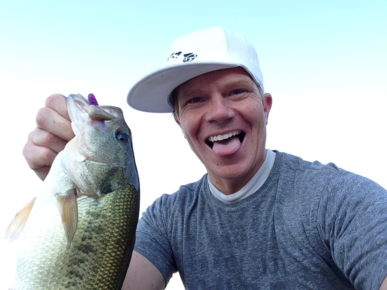 Know what to use bass fishing in cover