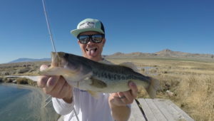 blue lake utah bass fishing