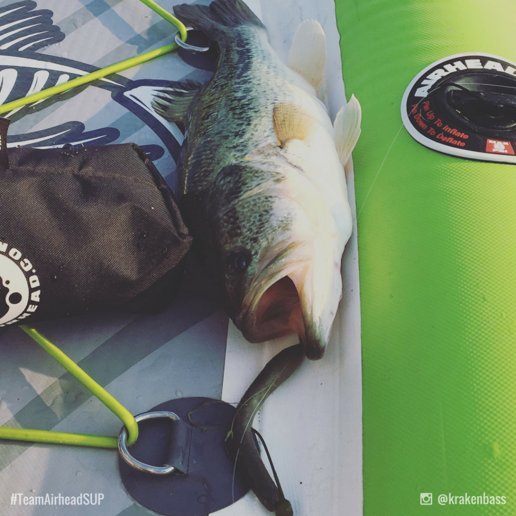 Paddle Board Bass Fishing Tips & Tricks Kraken Bass