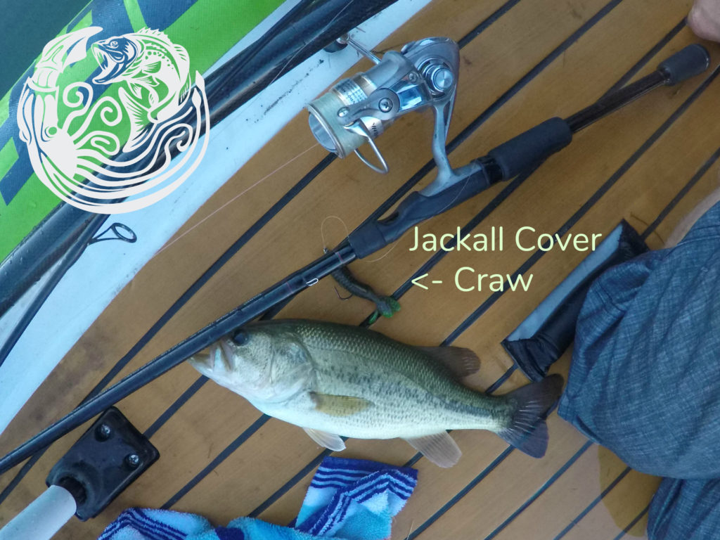 Twin Falls Idaho Fishing Dierkes Lake Largemouth Bass