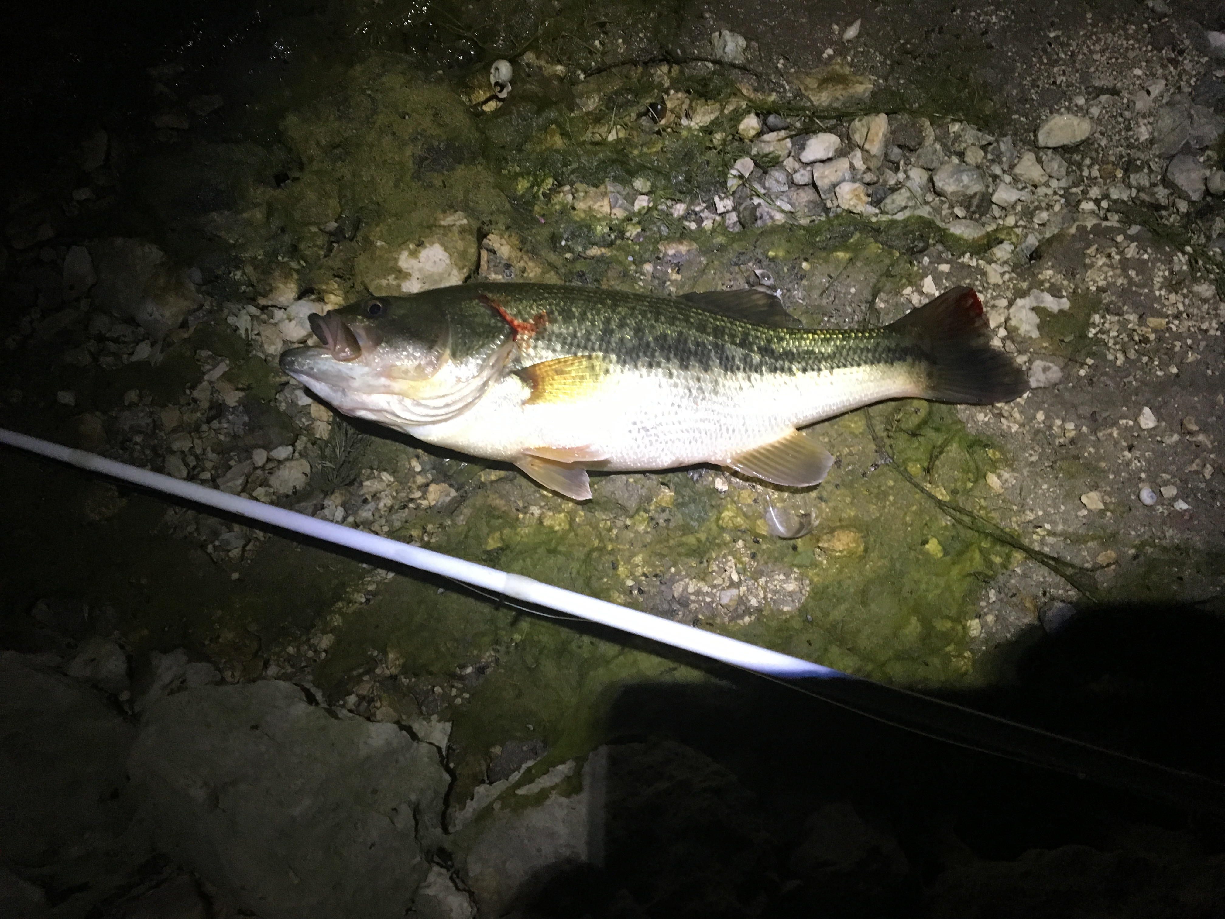 Deep Creek Reservoir Fishing at Night