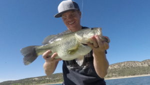 Catching Largemouth Bass on Beds
