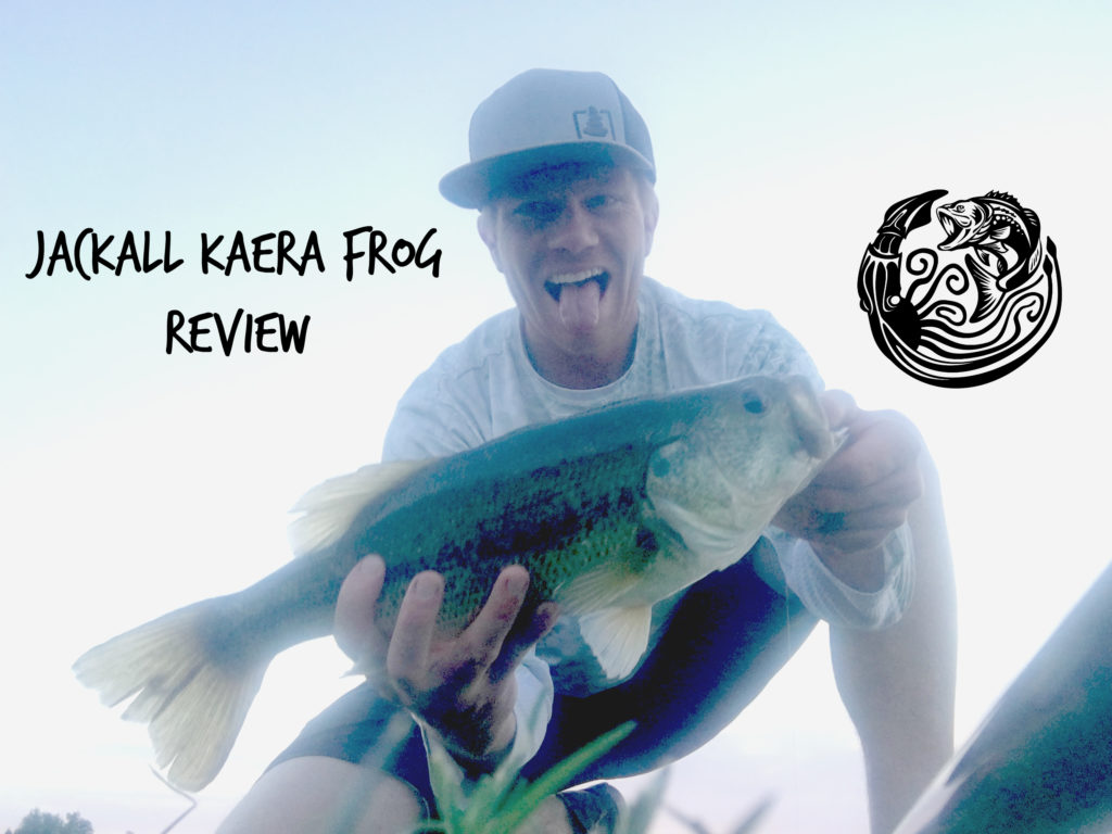 Jackall Kaera Frog Review Bass