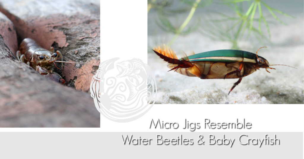 Best Bass Fishing Micro Jigs Resemble Beetles
