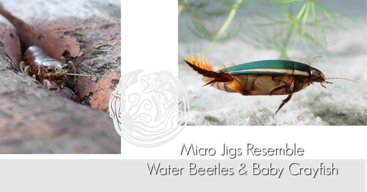 How to fish micro jigs 