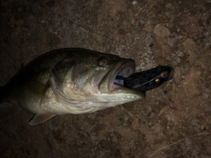 Good Night Bass Fishing Lures