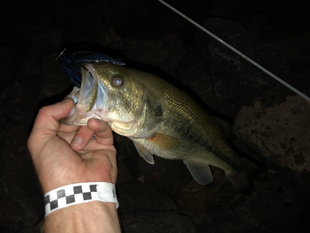 Night Bass Fishing Lures - Chatterbait 