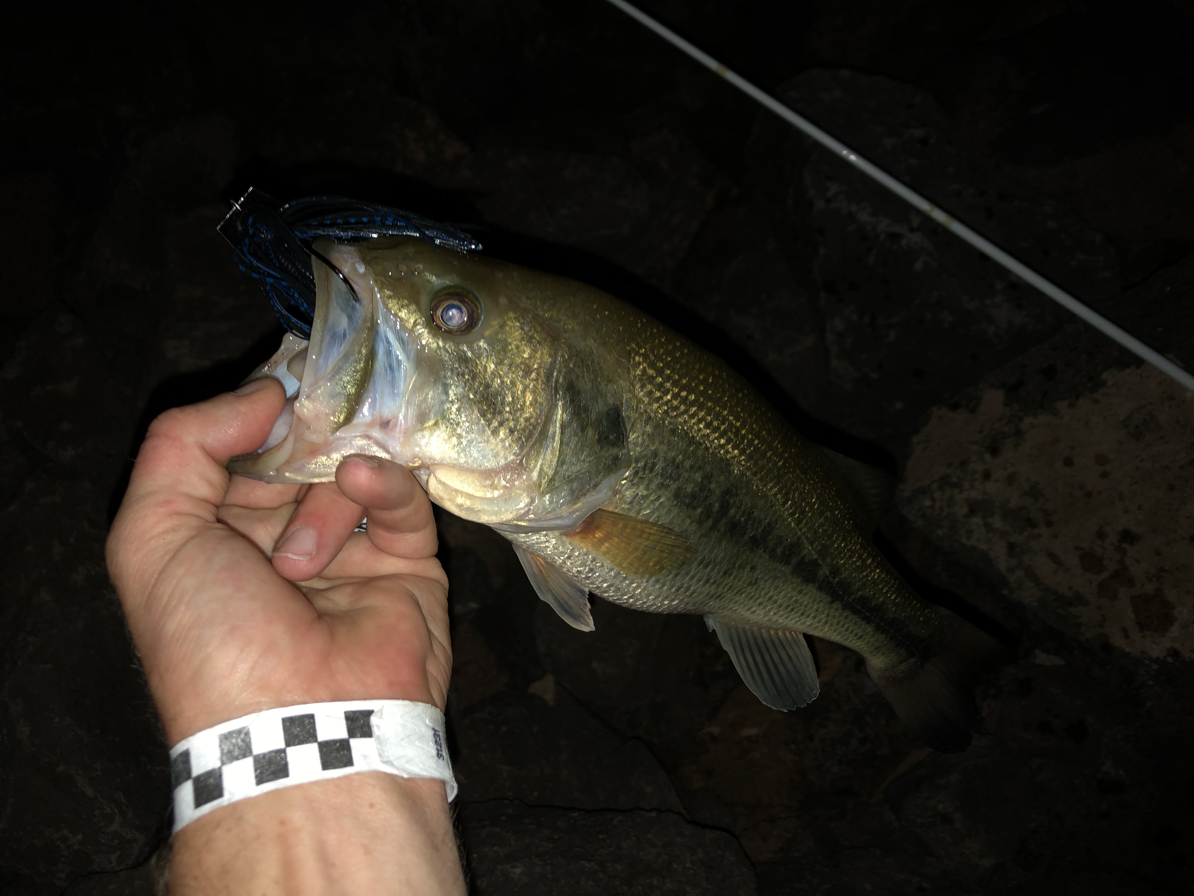 Night time bass fishing, what's your favorite baits? : r/bassfishing
