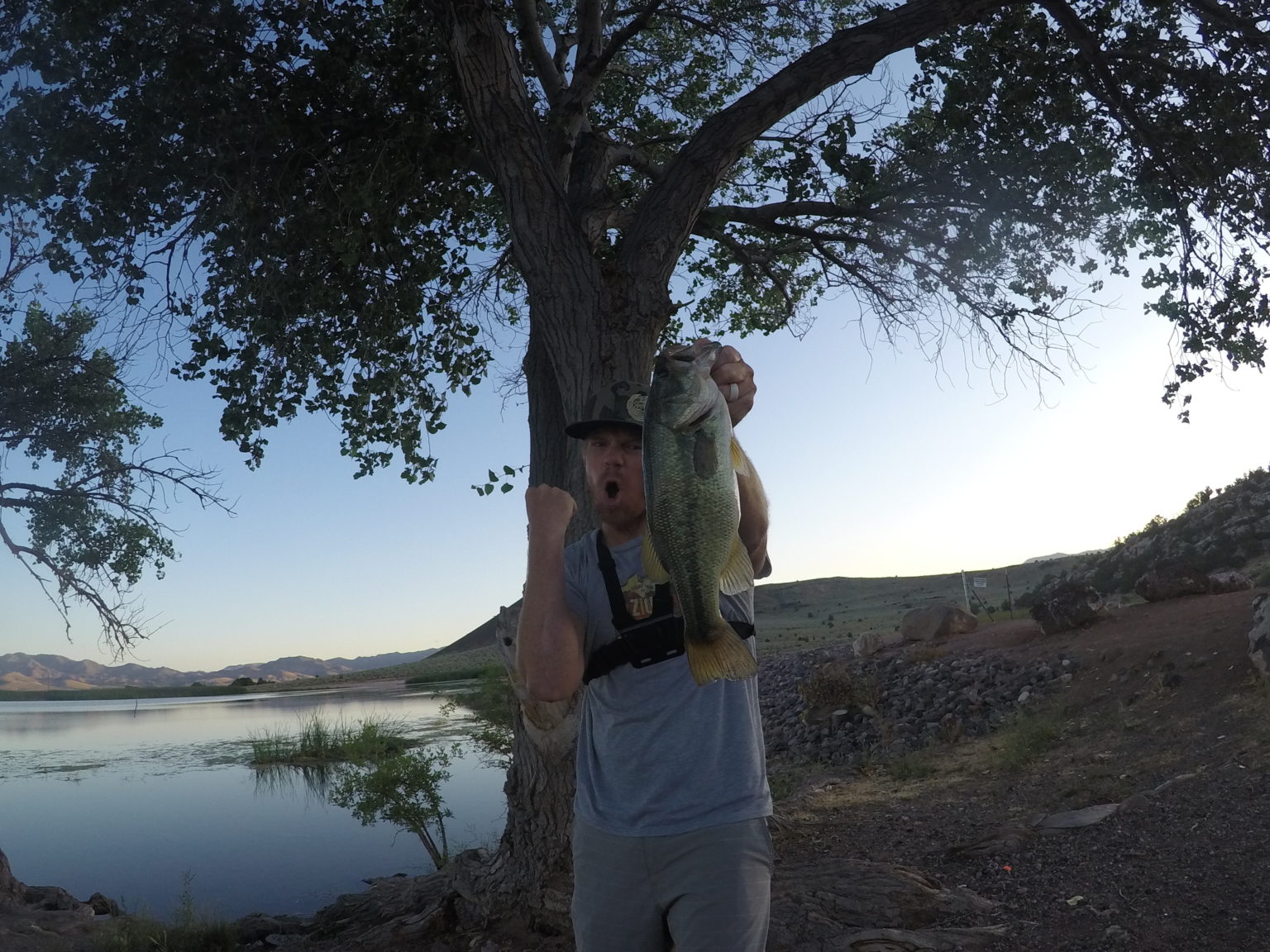 Bass Fishing Heavy Weeds & Grass in Ponds & Lakes Kraken Bass