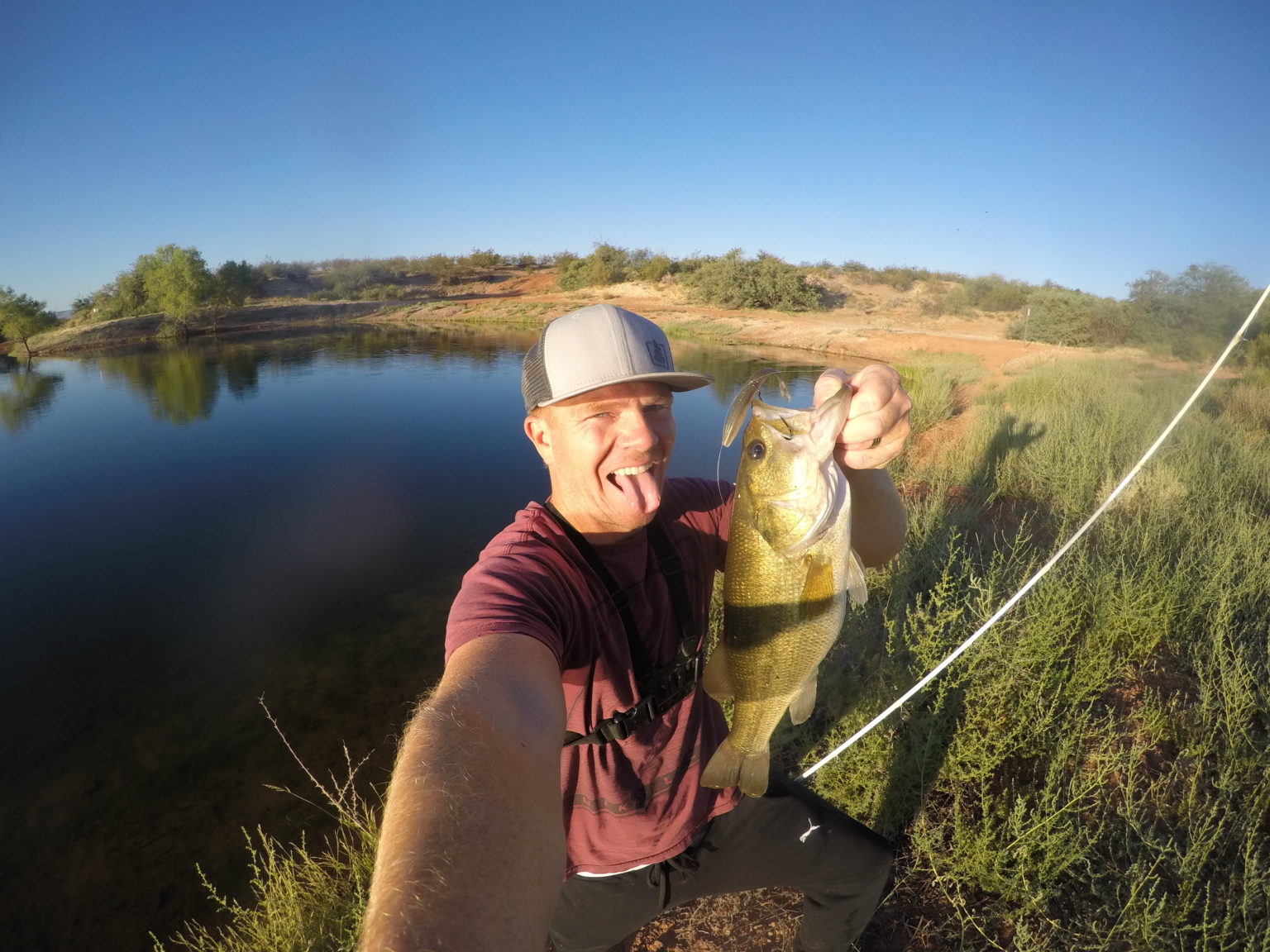Bass Fishing Heavy Weeds & Grass in Ponds & Lakes Kraken Bass
