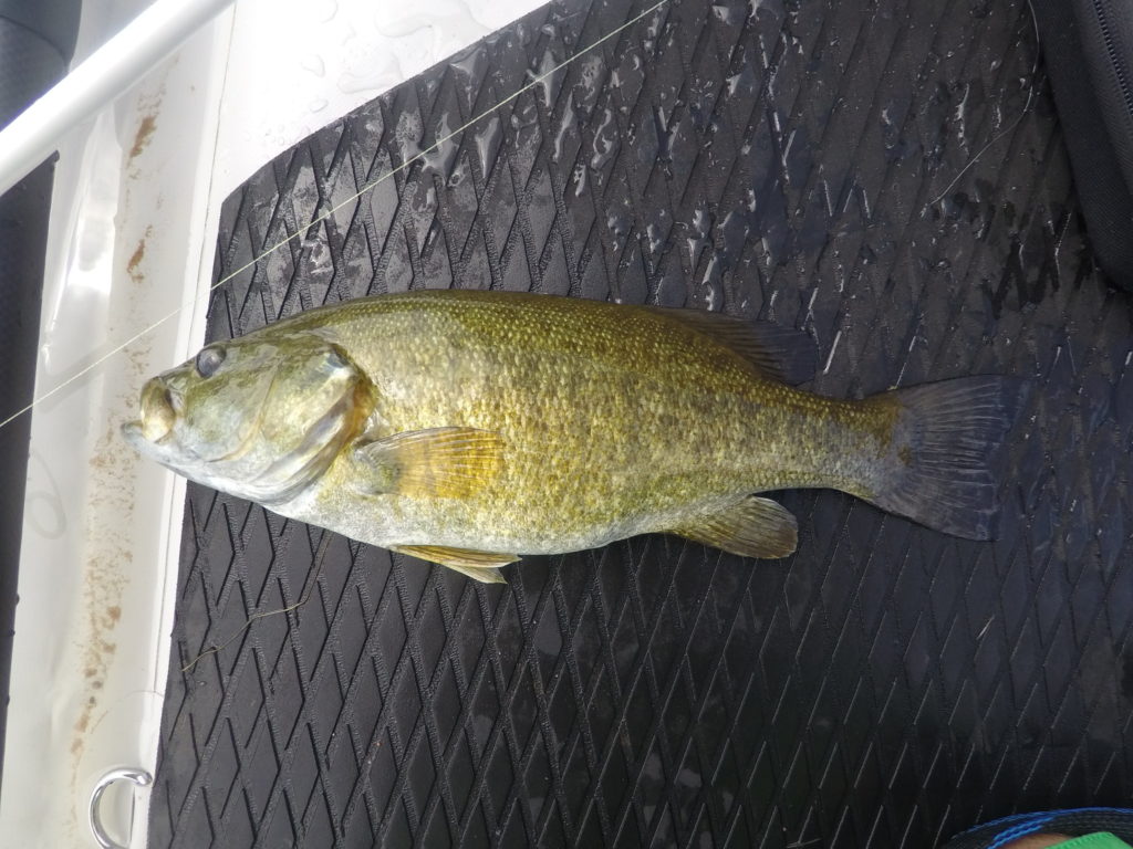 east canyon reservoir fishing smallmouth bass