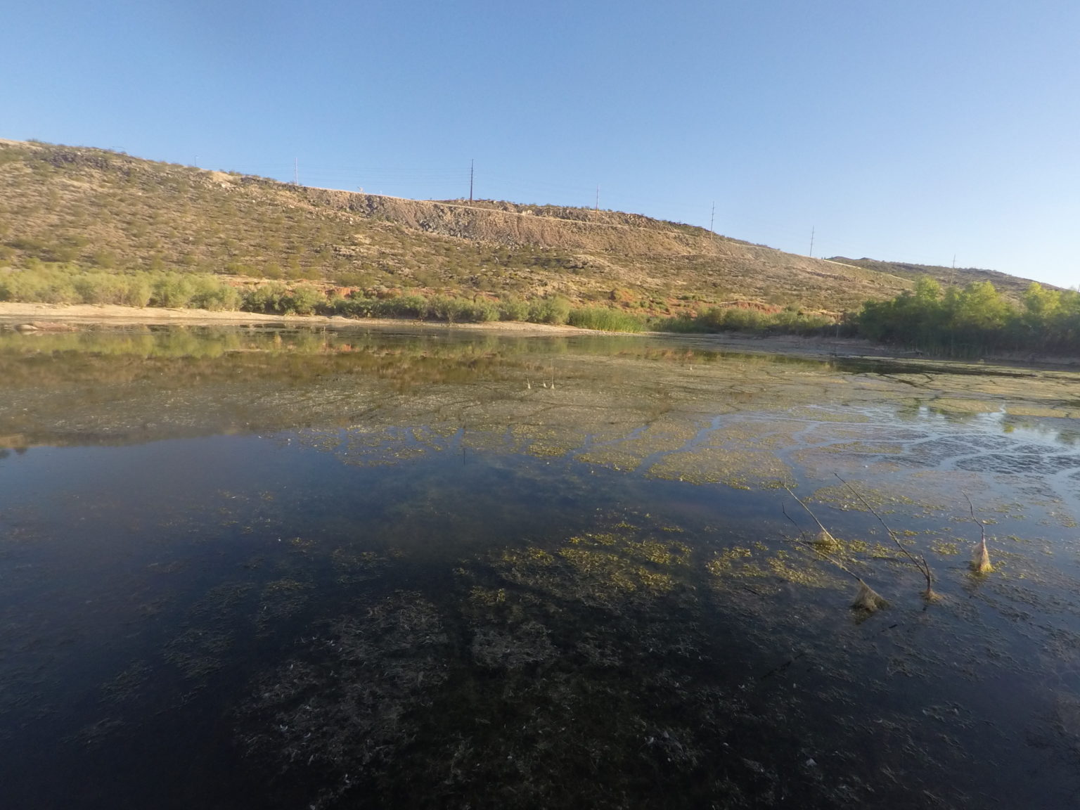 Bass Fishing Heavy Weeds & Grass in Ponds & Lakes Kraken Bass