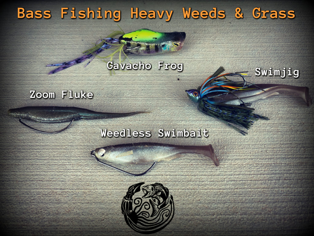 bass fishing heavy weeds baits