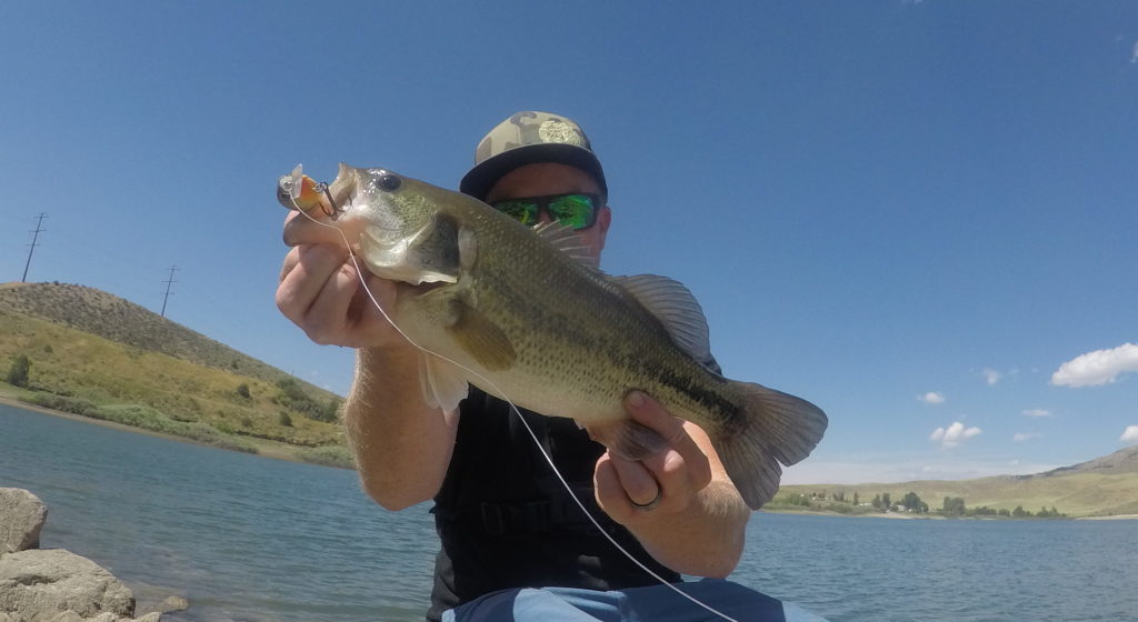 Devils Creek Reservoir Fishing Lures