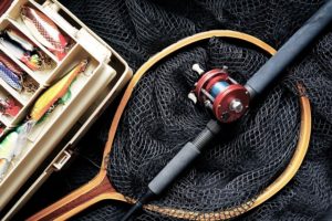 bass fishing blog