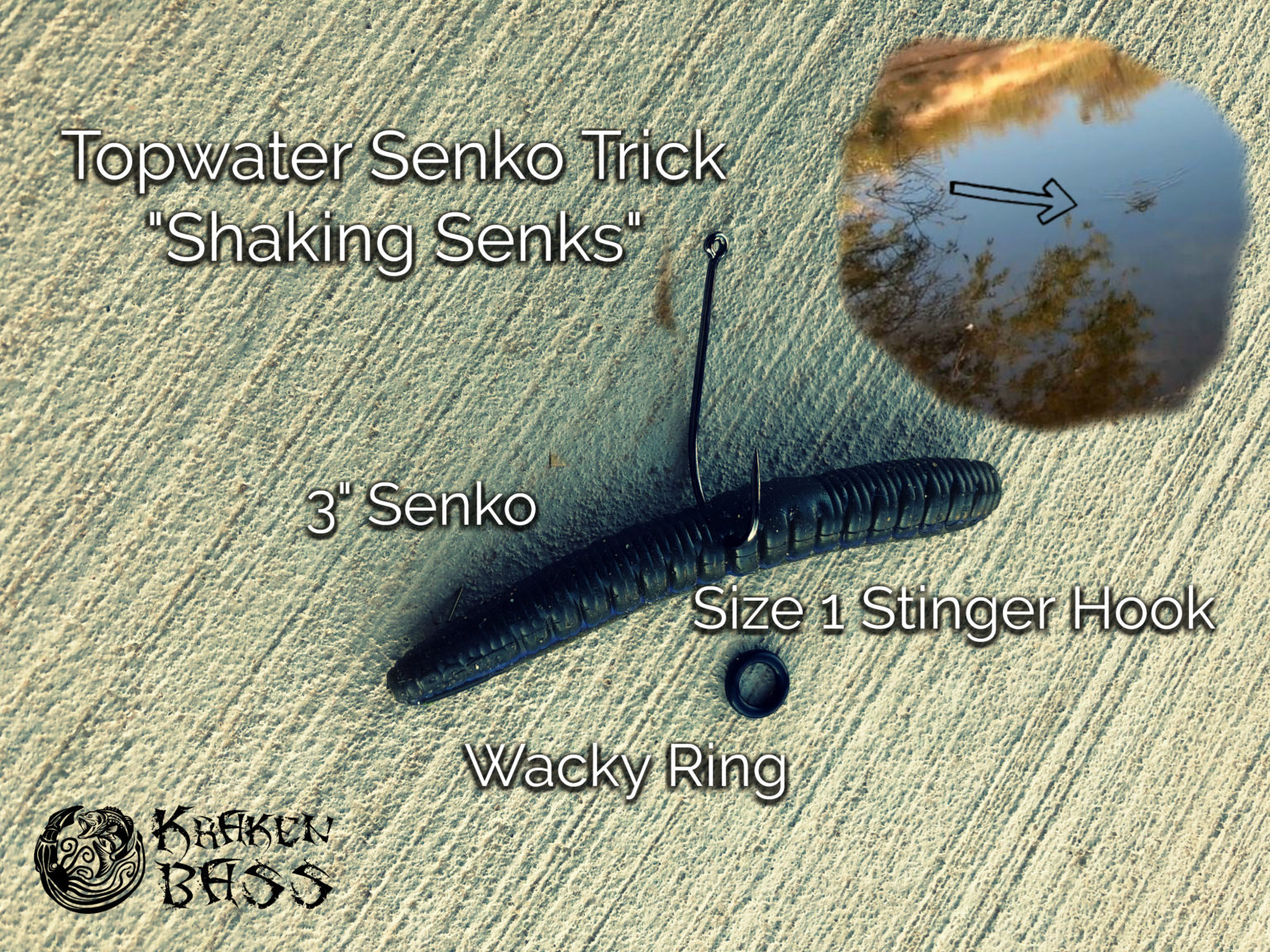 How to Fish a Senko Wacky Rig for Bass Topwater Style! Kraken Bass