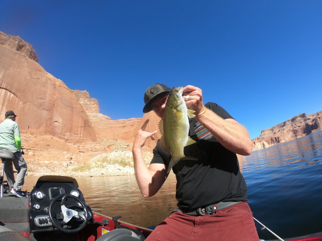 lake powell fishing tips bass