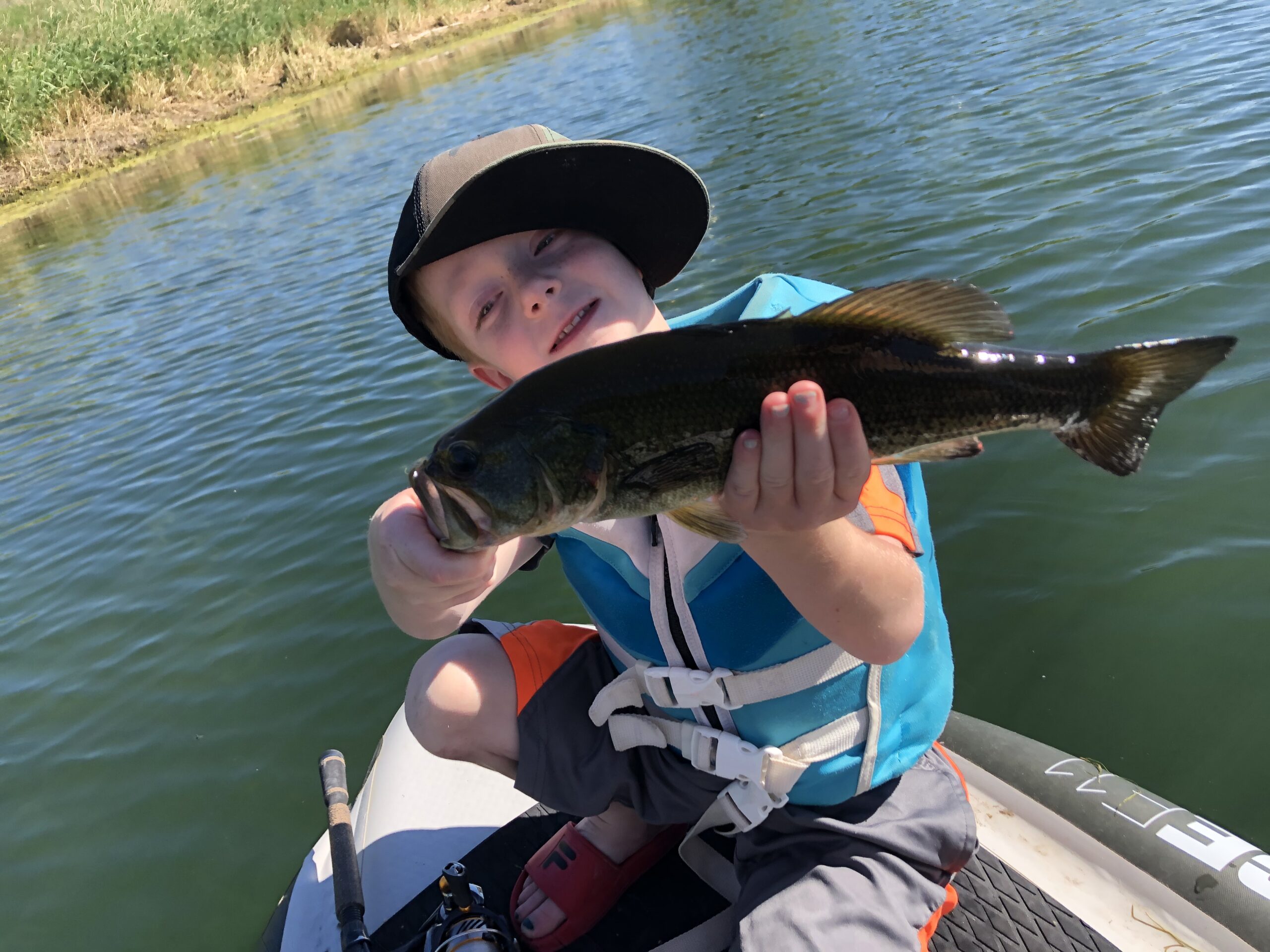 Bass Fishing Heavy Weeds & Grass in Ponds & Lakes - Kraken Bass