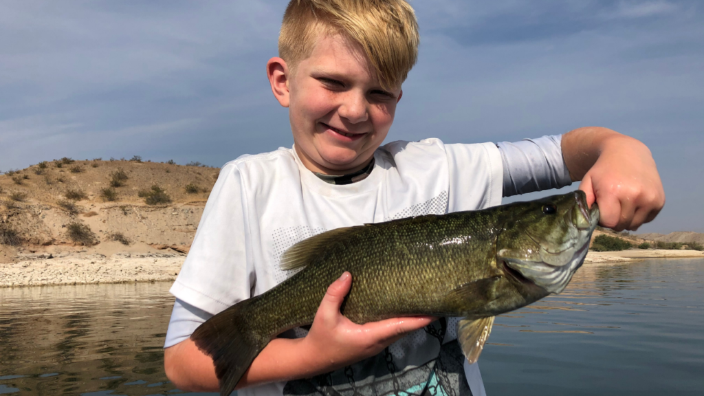 Lake Mohave Good Fishing Spots