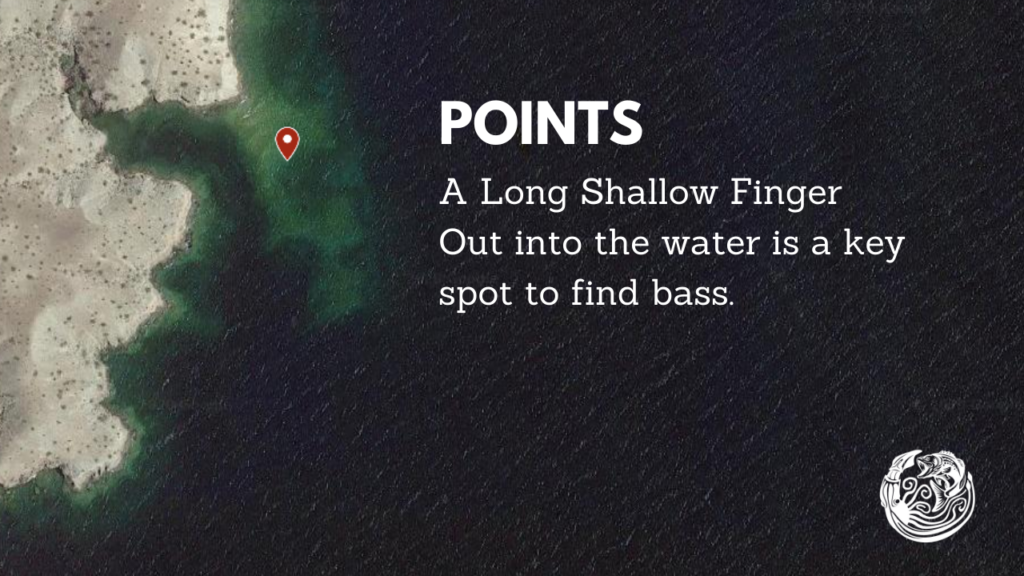 Points are good spots to find bass