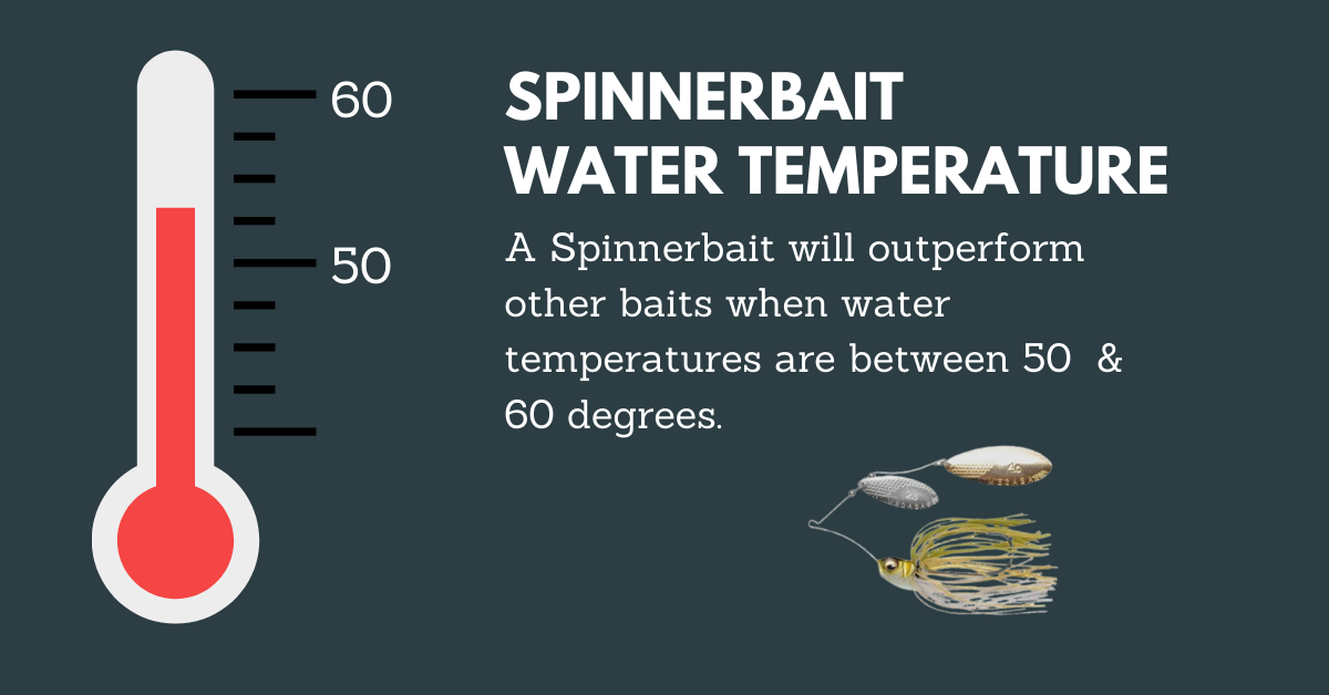 5 Situations When Spinnerbaits Work Good - Kraken Bass