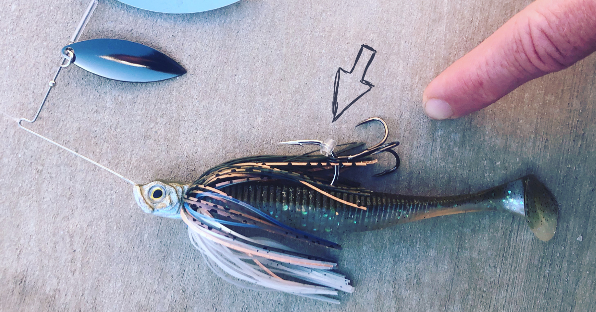 6 Secret Baits For Catching Fish